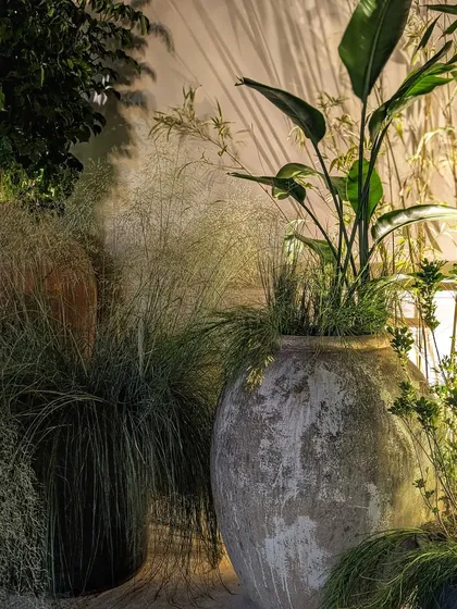 The combination of a large, rustic urn holding a Bird of Paradise plant and surrounded by feathery grasses created a stunning visual at the Anita Dongre event. The shadows cast on the wall behind add another layer of texture and drama.
