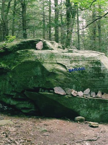 What do you see? We found this grinning rock fossil deep in the woods. The wild has a sense of humor.