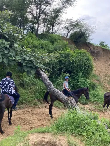 A group of three riders navigates a path along a gentle slope. This view from behind shows the journey through the varied and interesting terrain of the Aravalli hills.