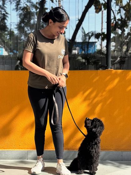 Kai demonstrating a beautiful, focused heel. This skill is essential for overcoming leash reactivity and enjoying walks.