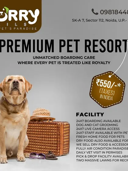 An overview of our premium pet resort facilities in Noida. We offer 24x7 boarding, live camera access, fresh home-cooked food, AC rooms, daily vet visits, and massive lawns, all starting at an affordable price.