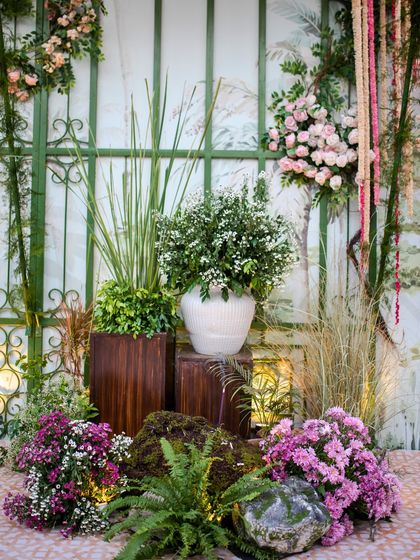 Elegant Receptions & Dinners photo 17