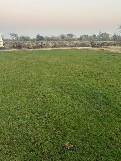 Another view of the fields, showing the sheer amount of quality grass available for supply.
