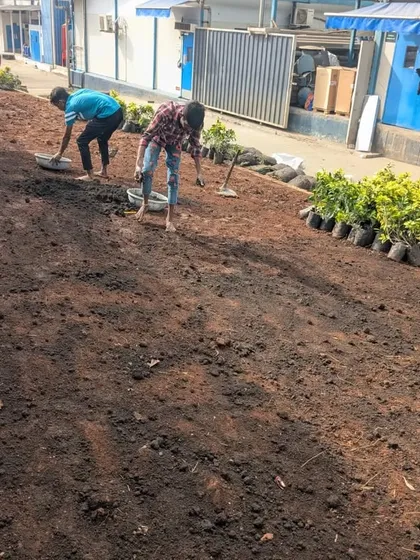 The team works on leveling the soil, creating a smooth canvas for the new lawn and plants.