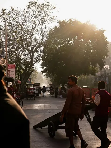 The early morning sun filters through the trees in Old Delhi. We often start our tours at dawn to experience the city as it wakes up, offering a peaceful and magical atmosphere.