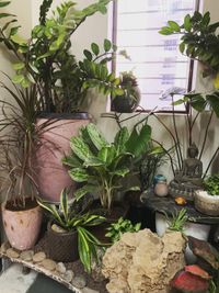 Indoor Plant Styling