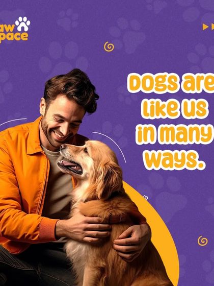 PawSpace - Dog Walking A Glimpse Into Our World photo 4