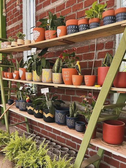 Dress Up Your Plants photo 14