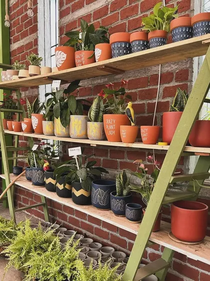 A close-up of our planter shelf. I love sourcing pots with unique patterns and textures to help you express your personal style through your plants.