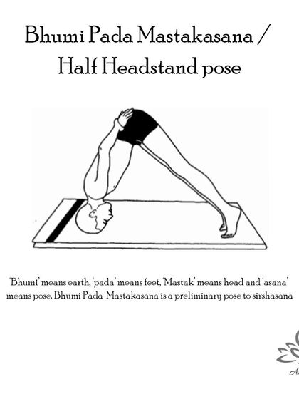 Anagha Yoga - Therapeutic Yoga Yoga Foundations: Asana Library photo 24