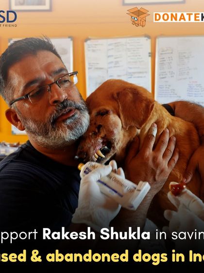 Our founder, Rakesh Shukla, personally administers medication to a sick dog. Your support empowers him and our team to save abused and abandoned dogs across India.