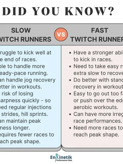 Are you a slow-twitch or fast-twitch runner? Understanding your predominant muscle fiber type, which is largely genetic, can help inform the best training and racing strategies for your unique physiology.