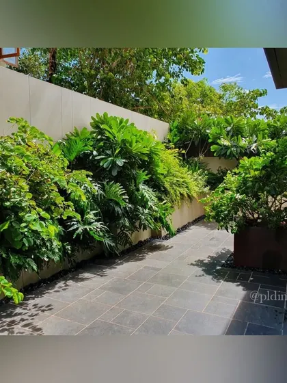 A raised planter bed runs along a wall, filled with a variety of foliage plants. This technique is a great way to introduce greenery into paved areas and soften the hardscape.