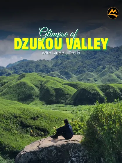 A moment of peace in Nagaland's Dzukou Valley. My trips are not just about adventure; they are also about finding quiet moments like this to connect with nature and yourself.