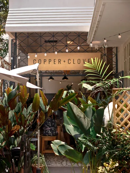 This is the view that welcomes you. I wanted the entrance to feel like you’re stepping into a green oasis, a little escape from the city chaos. Come in, the vibe is always warm.