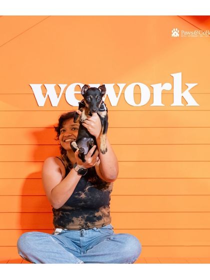 PawsnCollars - Veterinary Care Our Community & Values photo 4