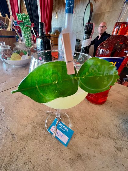 Bar Vigyan - Bar Consultancy Crafted & Signature Cocktails photo 30