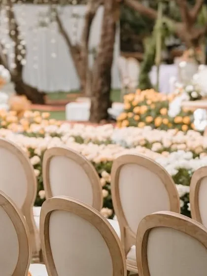 A view of the wedding seating from behind a row of classic wooden chairs, looking out over an aisle lined with a garden of yellow and white flowers.