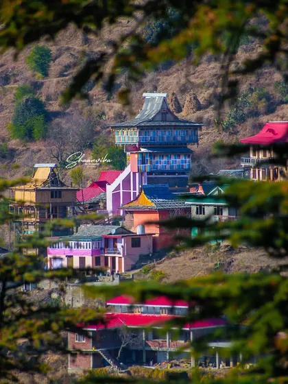 A hidden view of the Dharech Temple, framed by pine branches. I often look for creative compositions like this to add depth and a sense of discovery to my shots.