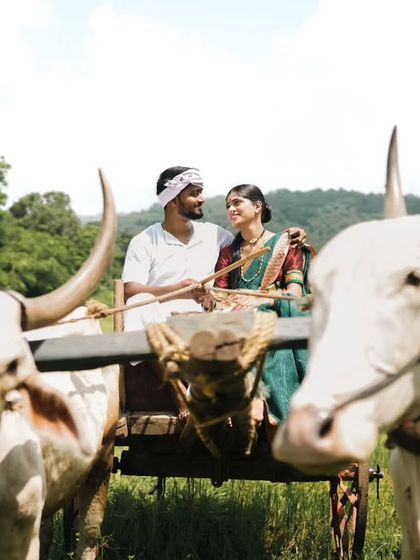 A unique perspective for a rustic pre-wedding shoot, framed by the magnificent horns of the bullocks.
