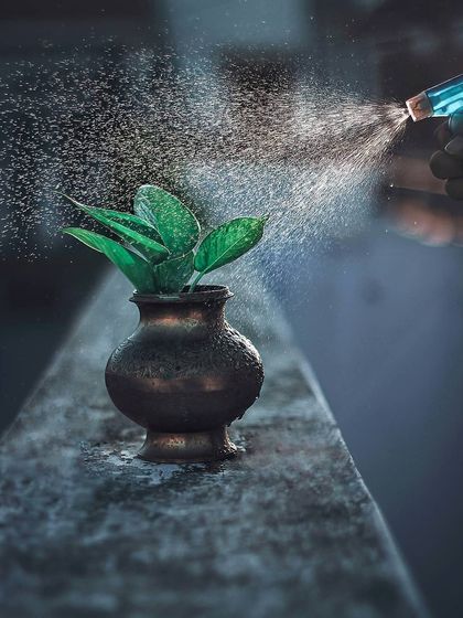 Bangalore Photographers - Find a Photographer Product & Commercial Photography photo 20