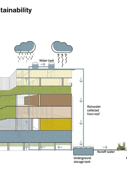 This sustainability diagram illustrates my 'living sponge' concept for water management. It shows a systematic approach to rainwater harvesting and bioswale integration, designed to recharge groundwater, reduce runoff, and support a productive landscape.