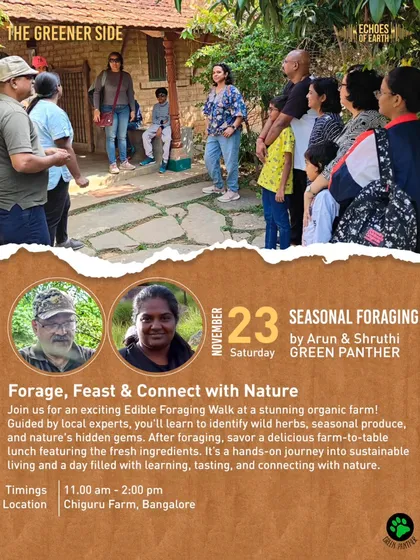 We collaborated with Echoes of Earth for an exciting Edible Foraging Walk at a stunning organic farm, ending with a delicious farm-to-table lunch.