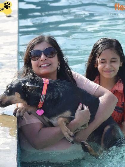 Poochkoo - Pet Activities & Adventures Splash Zone: Pool Fun & Hydrotherapy photo 10