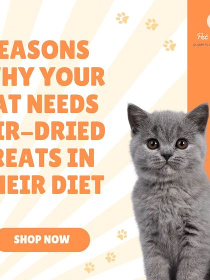 Our air-dried treats are a perfect match for your cat. They are packed with nutrients, help keep teeth clean, are gentle on sensitive stomachs, and have a high-protein, low-carb profile.