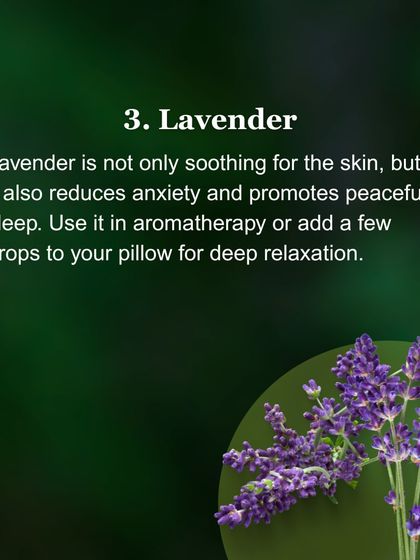 Lavender is wonderful not just for its soothing scent but also for its ability to reduce anxiety and promote peaceful sleep. I suggest using it in aromatherapy or adding a few drops to your pillow.