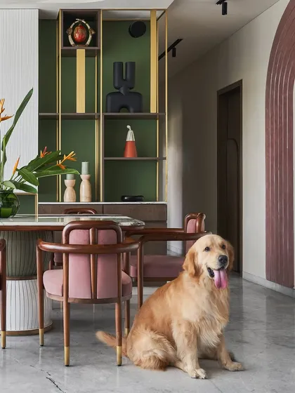 A playful shot featuring the family dog, giving a new address to "quirk" in this uniquely designed home.