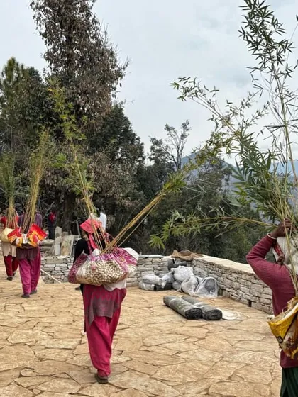 Local women carry bamboo saplings to the project site in Uttarakhand. Their involvement is a vital part of our collaborative process, ensuring the landscape is rooted in the community and local ecology.