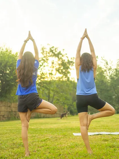 Two students practicing Vrksasana (Tree Pose) outdoors, their forms silhouetted against the morning sun. It's a beautiful image of balance and harmony with nature.