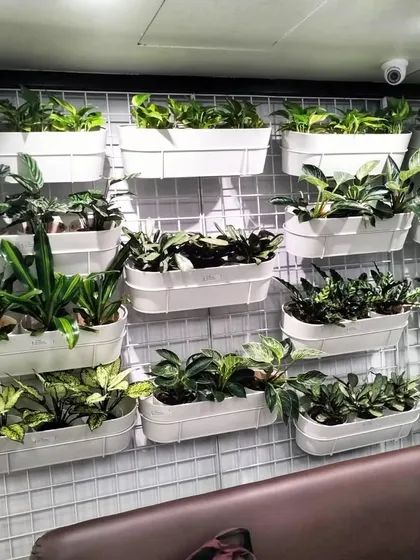 When floor space is limited, we go vertical. This modular vertical garden at a renowned salon adds a lush, living element to the decor, creating a refreshing and calming atmosphere for clients.