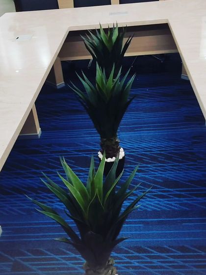 I placed these spiky artificial plants inside the U-shaped cutout of a large office table. This is a creative way to incorporate greenery directly into the furniture of a workspace.