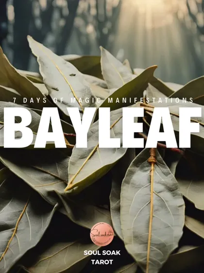 The bay leaf is a powerful herb used for centuries in spiritual practices. I've created a 7-day series of simple rituals to help you use its magic for abundance, love, cleansing, and protection.