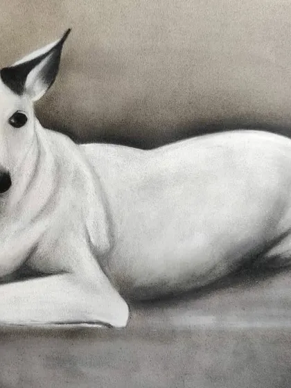 The alert ears and soulful eyes of this dog were so much fun to draw. My goal with every pet portrait is to capture the unique features and personality that make your pet one-of-a-kind.