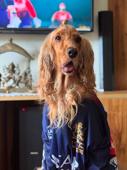 A close-up of Posto in his RCB jersey, with his hair tied up in a "Shikhar Dhawan" style pony.