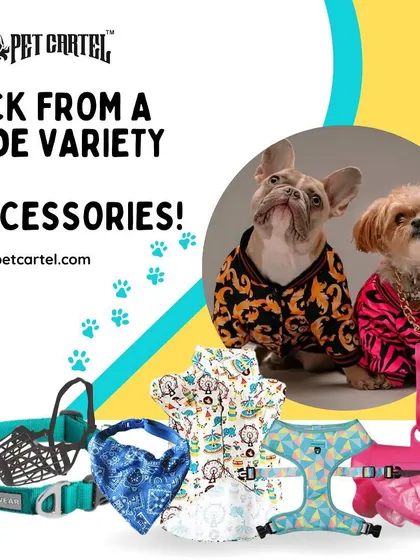 Let your pet's personality shine with our collection of accessories. This image displays some of our stylish gear, including colorful bandanas, comfortable harnesses, and other essentials to make your pet the best-dressed on the block.