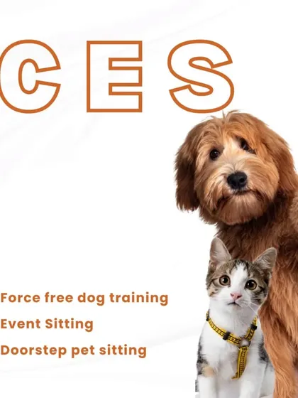 This graphic lists some of our key services, including force-free dog training, event sitting, and doorstep pet sitting. We're here to make pet care effortless and stress-free.