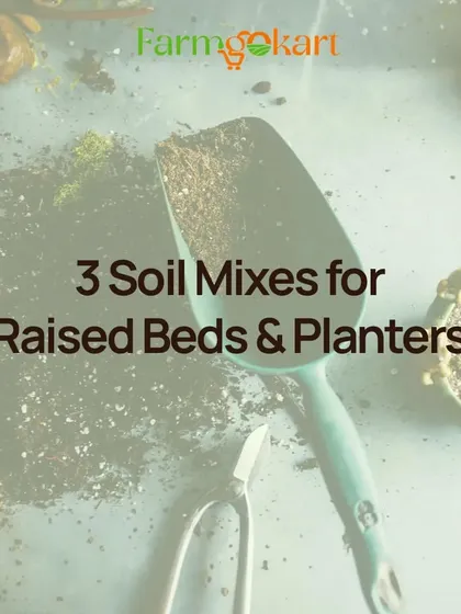 I have three go-to soil mixes for raised beds and planters. The right recipe depends on your container size and what you're growing.