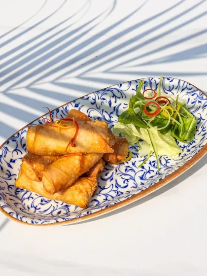 Crispy spring rolls on a beautiful blue and white ceramic plate. The play of sunlight and shadow adds a lovely texture and a fresh, summery feel to the image.