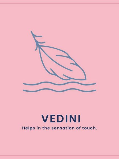 The fourth layer of the skin, as per Ayurveda, is Vedini. This layer is connected to our nervous system and is responsible for the sensation of touch.