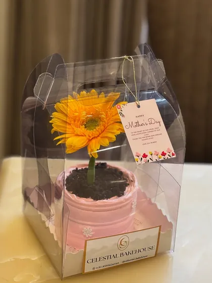 Our Flower Pot Cake, beautifully packaged and ready for gifting. It's a unique and thoughtful surprise for Mother's Day or any occasion.