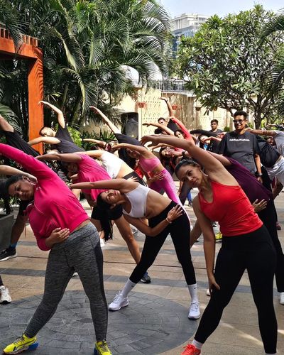 Celebrity Fitness Coaching