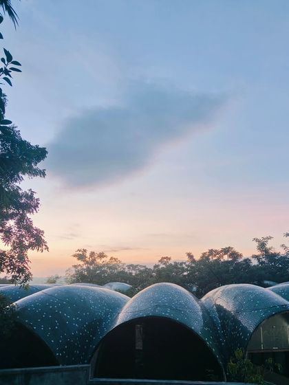 A serene sunrise at the Triveni Ashram. Moments of peace and connection with nature are essential for mental well-being.