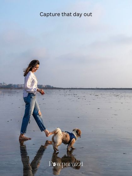 Capturing a day out. A woman walks with her Shih Tzu on a wet beach, their reflections mirrored in the sand. A perfect example of a lifestyle beach session.