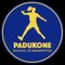 Padukone School of Badminton