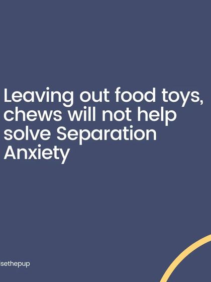 Leaving out food toys and chews will not solve separation anxiety. The underlying issue is a fear of being alone, and food is only a temporary distraction at best. A systematic desensitization plan is what's needed.