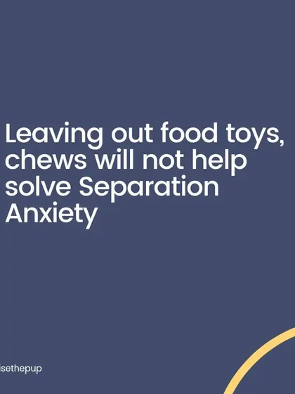 Leaving out food toys and chews will not solve separation anxiety. The underlying issue is a fear of being alone, and food is only a temporary distraction at best. A systematic desensitization plan is what's needed.